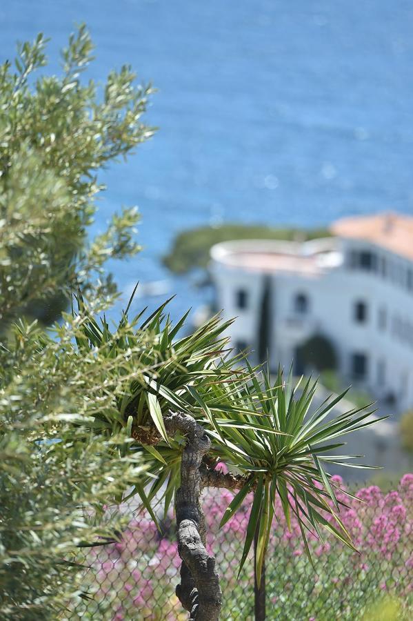Le Son Des Vagues Vue Mer Cassis Eksteriør bilde